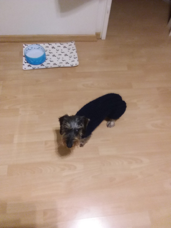 [Image: 20221129-170326.jpg]