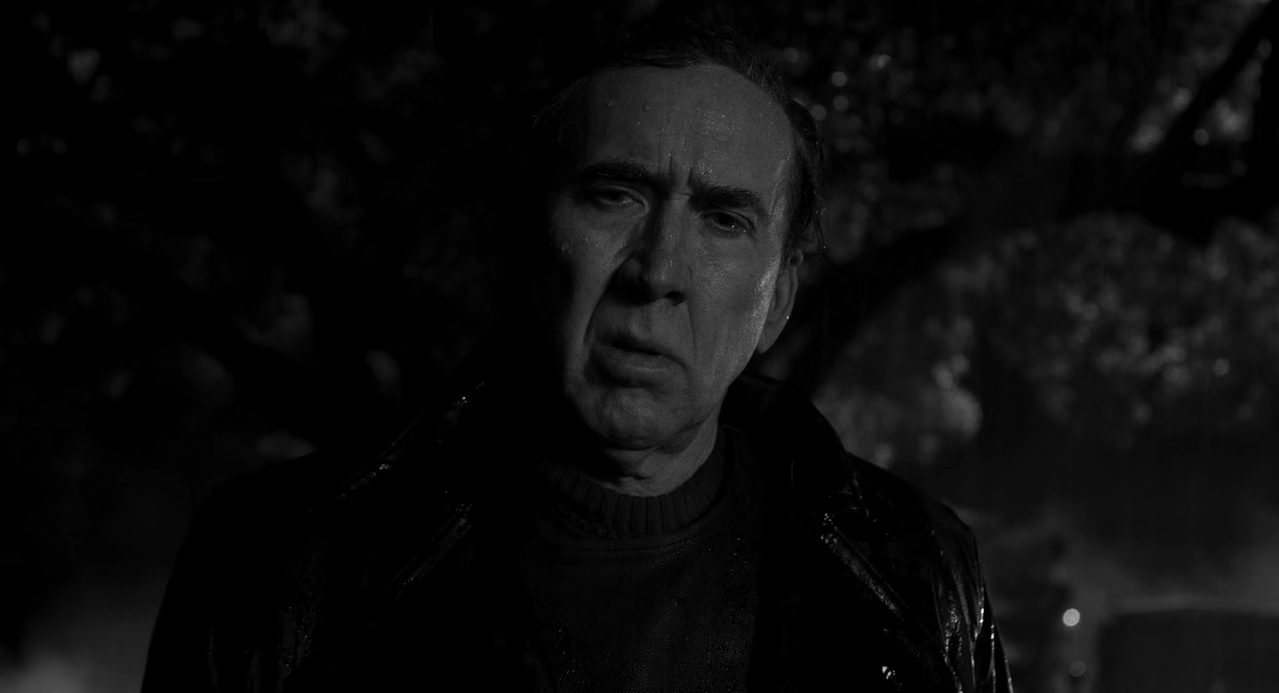 noir 1