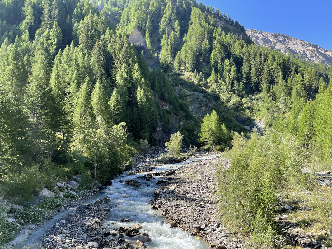 1113B07C-11CC-4DAB-8FD7-390A780656D7