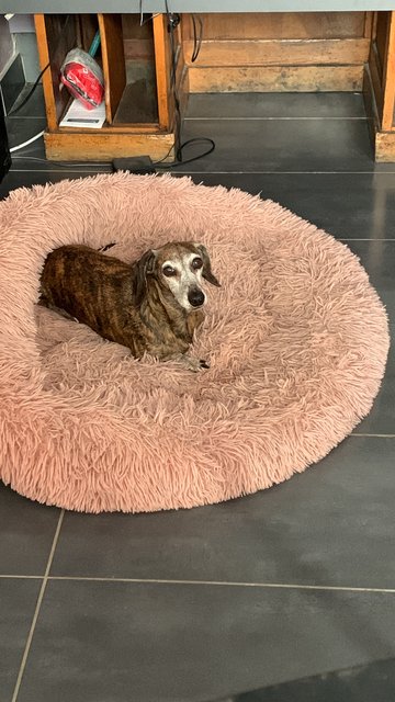 [Image: 5-C1-DF910-761-E-4-B24-900-B-75-EA62-E300-AF.jpg]