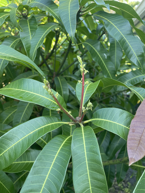 9A0D176B-F2A4-42A3-BFB0-5A7AE93ECD2D