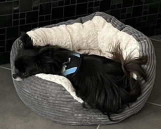 [Image: 90150951-CBD6-4279-9-BB3-F41957-D1-F4-E3.jpg]