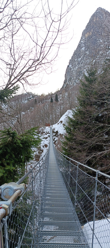 IMG20251130142446.jpg