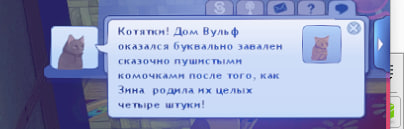 TS3-W-2025-01-15-03-33-35-2.jpg