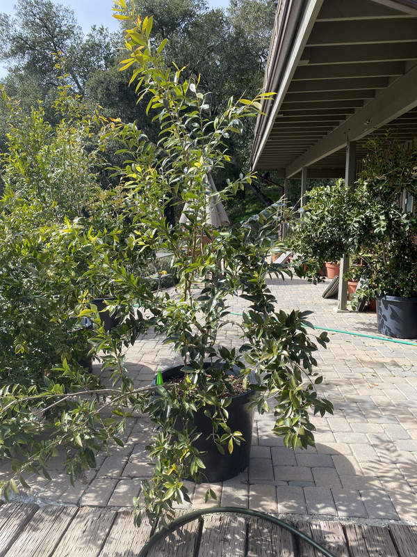 22915774-83A7-45E2-9EBC-215DB0CE3771