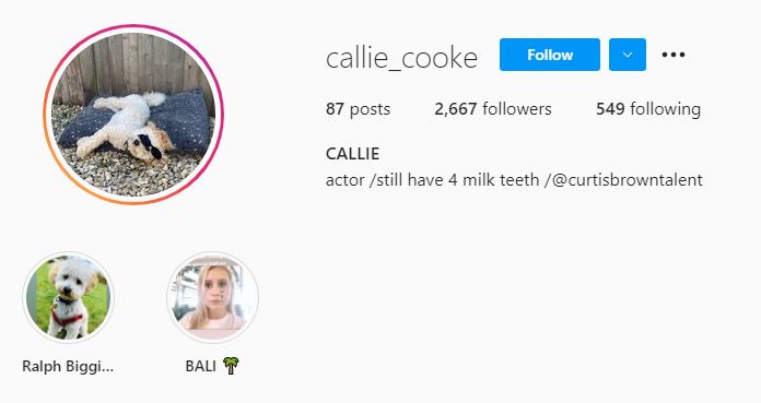 Callie Cooke's Instagram