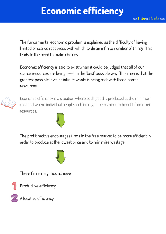 Economic efficiency