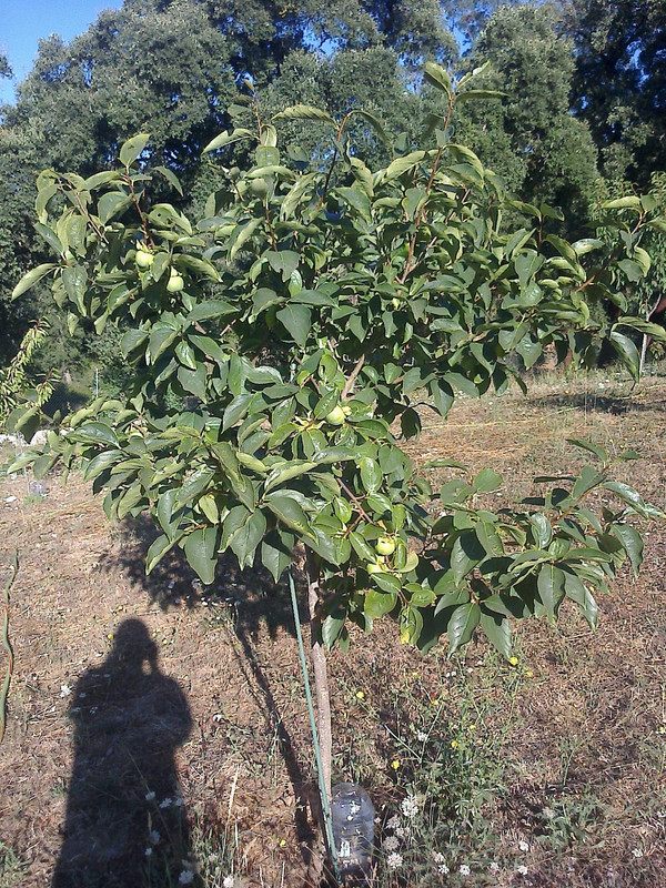 foto0125