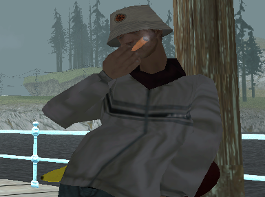 sa-mp-012-cropped.png