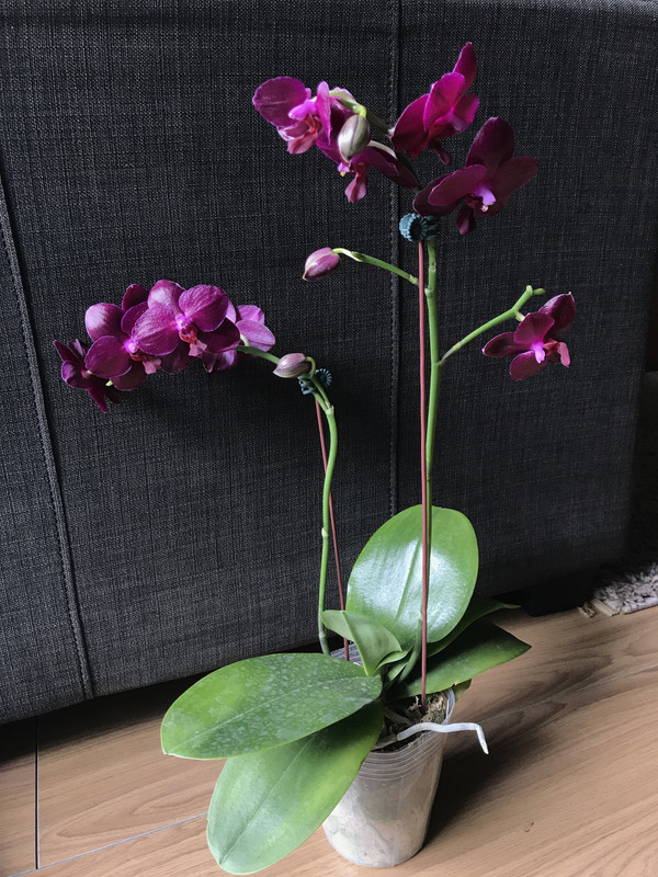 F35527DF-D922-43FB-BEBA-821D39ED82F5