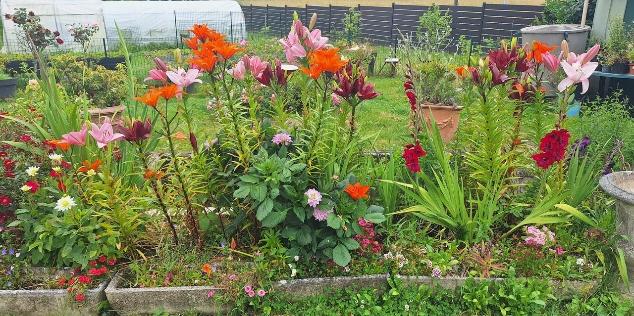 [Image: 20240702-134626.jpg]