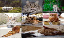 Captcha o-Vco3-Dxup6-Sk7-RU-default.png