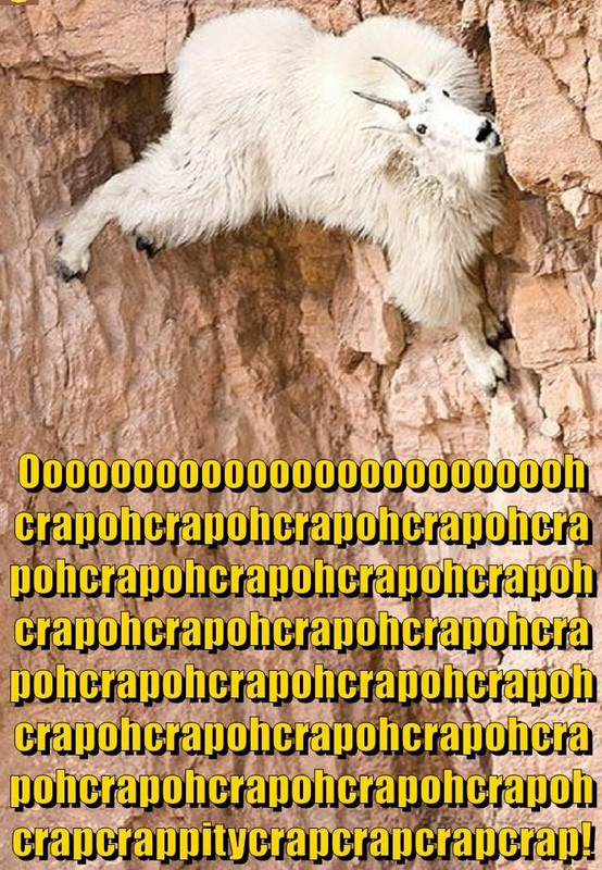 crap