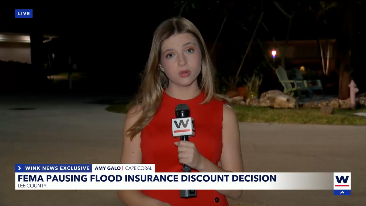 04.09 - 04.00.01 - WINK News at 11  ᴺᵉʷ. Local and regional news..ts_snapshot_08.20.190