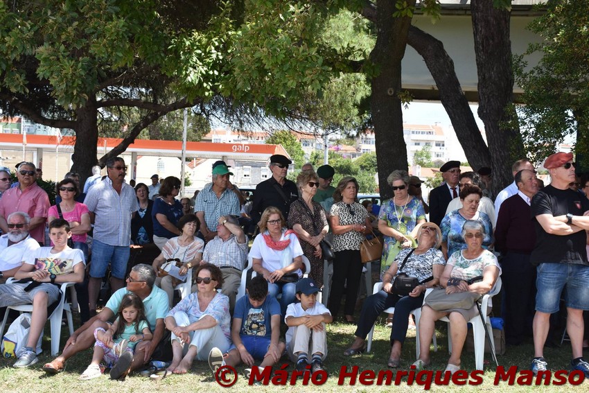 19025245_1489131587806404_8390590884918870830_o