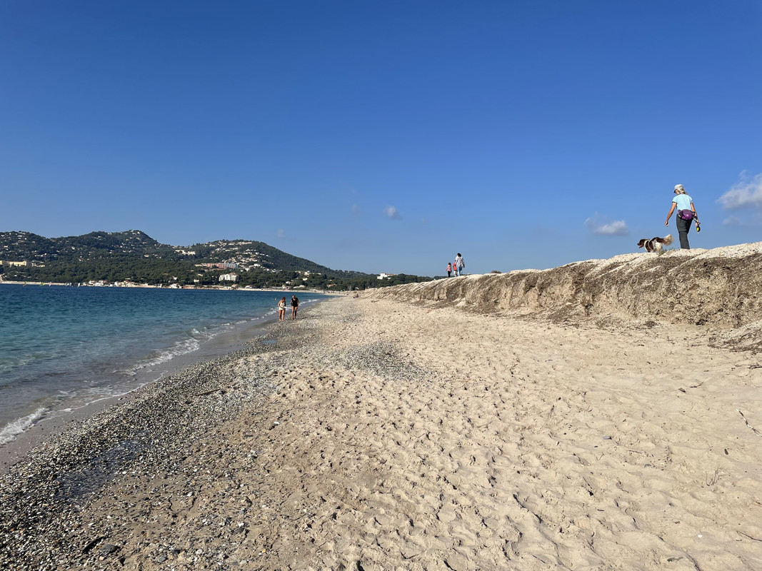 DE8BD8BC-5BC7-4A9F-8DB5-8FEF763333F4