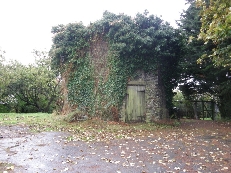 #62421 naamloos Woodditton