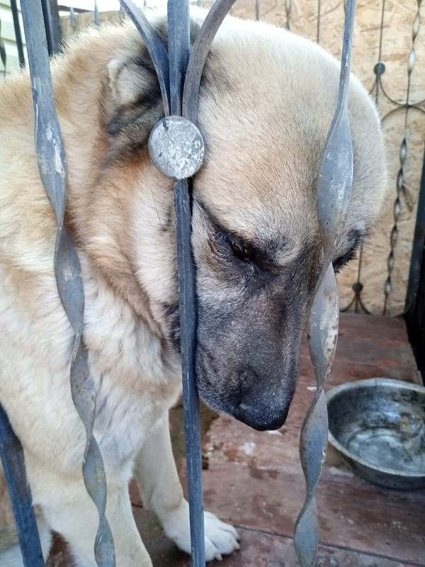 WhatsApp Image 2023-01-27 at 16.20.29 (1)