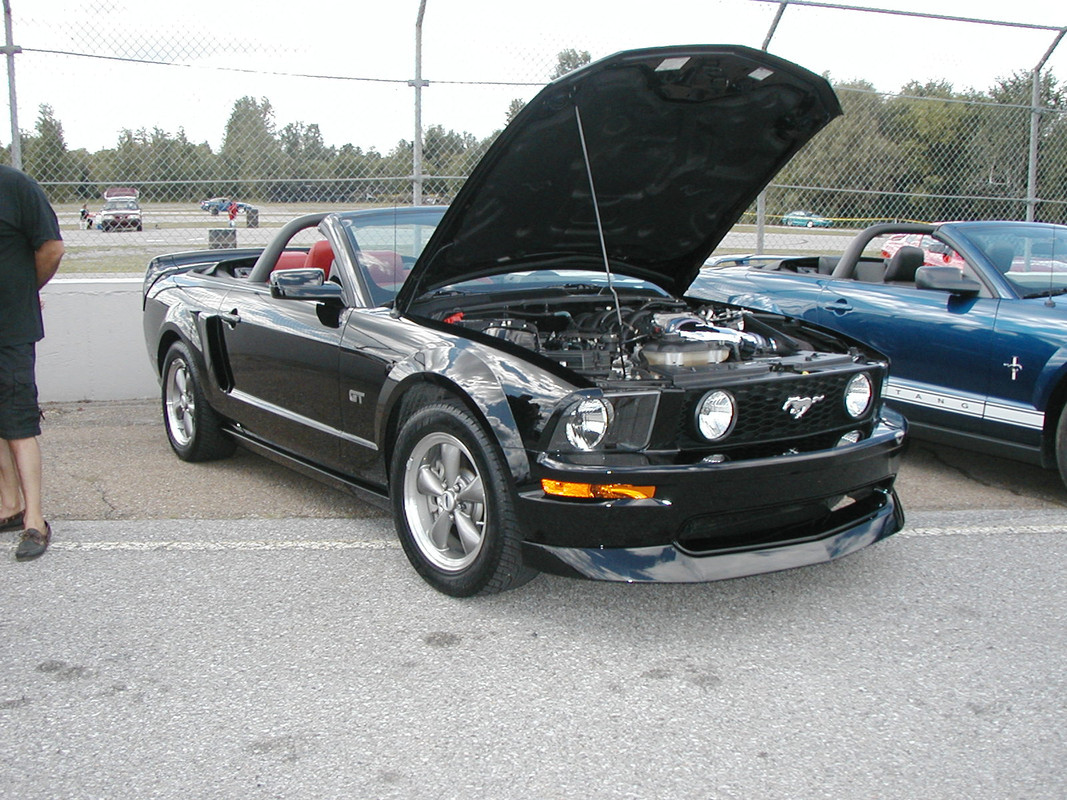 ford - Montréal Mustang: 40 ans et + d’activités! (Photos-Vidéos,etc...) - Page 20 P8120081