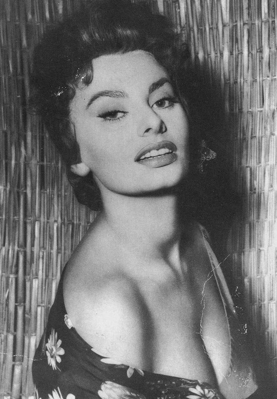 sophia loren 724