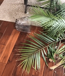 daily-gifdump-3410-27.gif