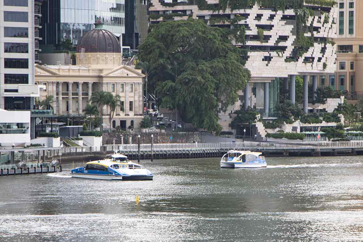 CityCat and KittyCat