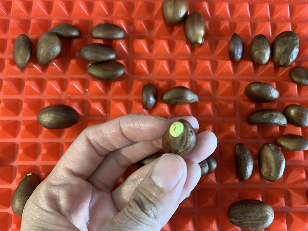 4E385833-A854-42FA-95B2-9457D47A4A3F