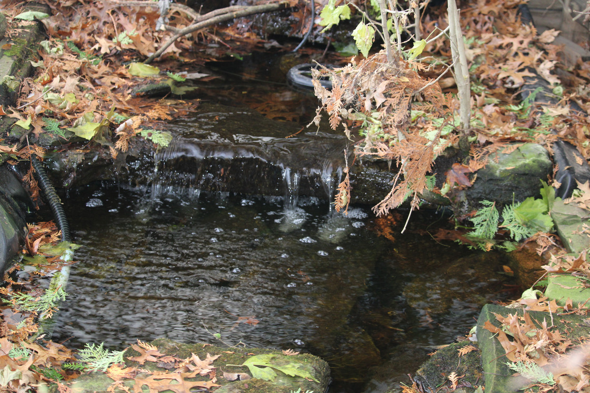 IMG-2375.jpg