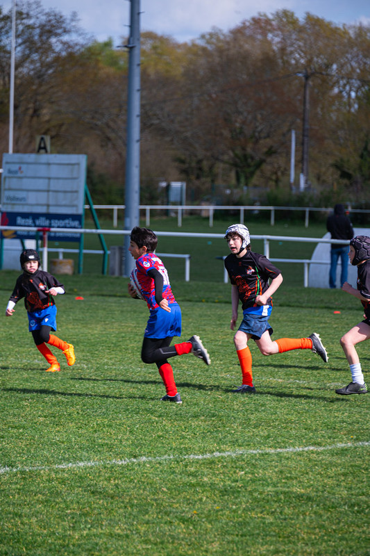 tournoi-de-latlantique-2026-adonis-griffon-163-55181691335-l