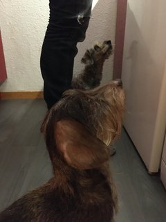 [Image: 86-D14-A90-FE56-4-B40-AD6-A-BAD703-B839-F4.jpg]