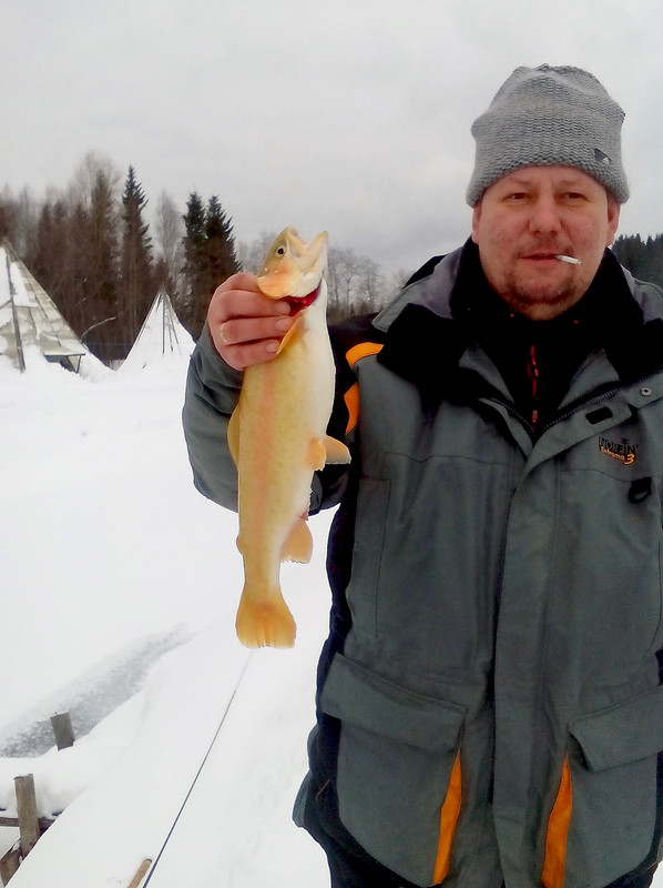 IMG_20150222_123018е