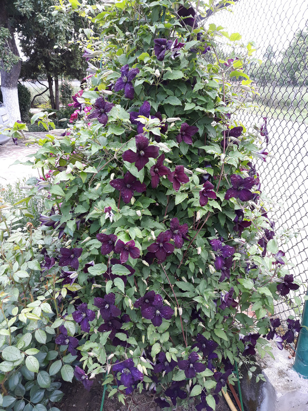 20190601_085407
