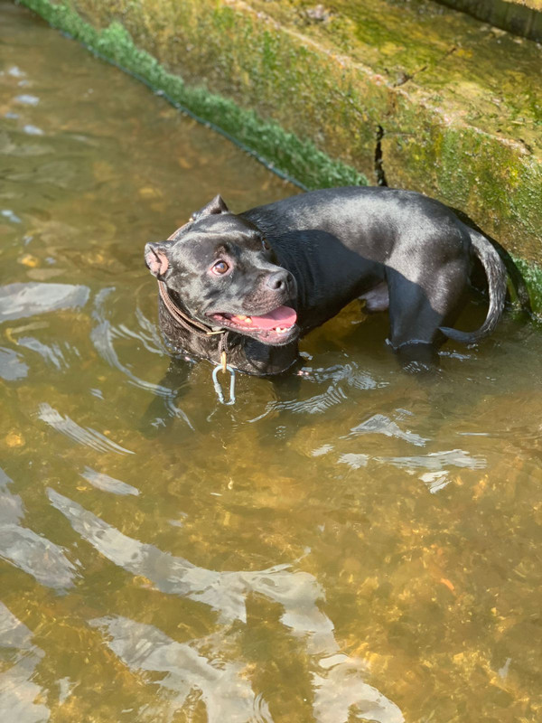 01F203A6-9BE6-4EA5-9E9D-27A3DC7CB85C