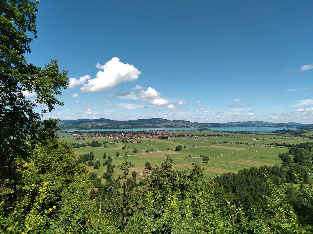 20220625-114741-1.jpg