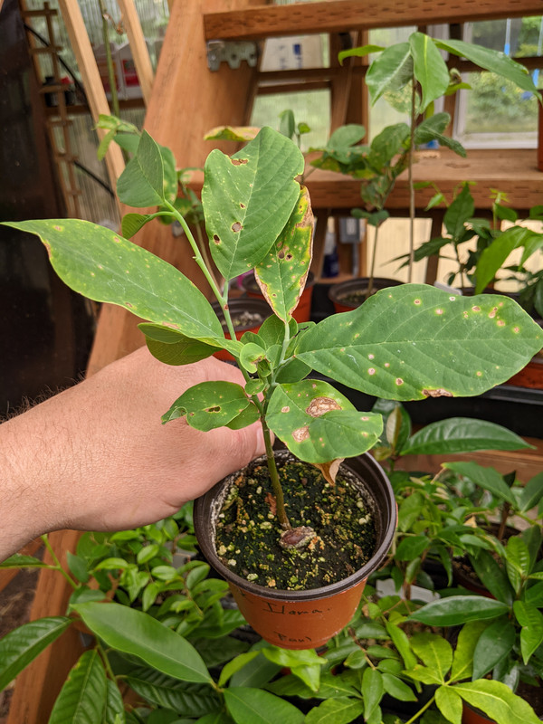 PXL_20230724_190538038