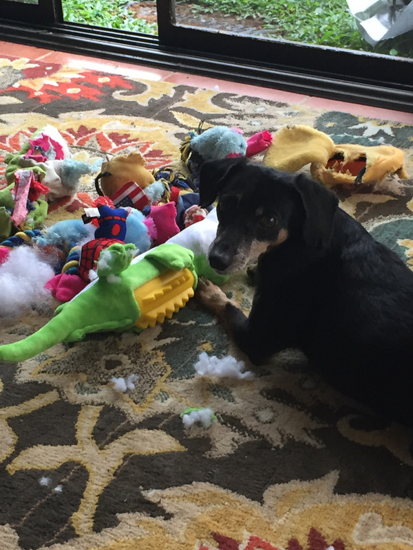 75CE645D-C7D3-4103-B091-71F0D14DC1A4