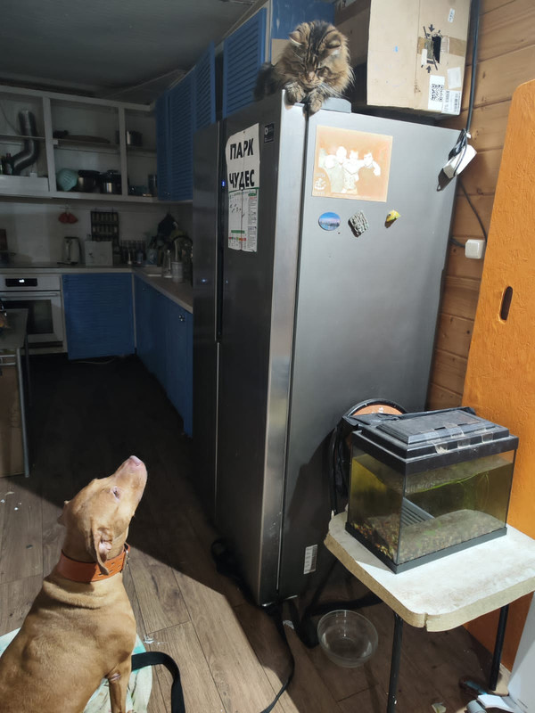 0BBC485A-1F0A-4EAA-8E7A-66B2BDE2B575