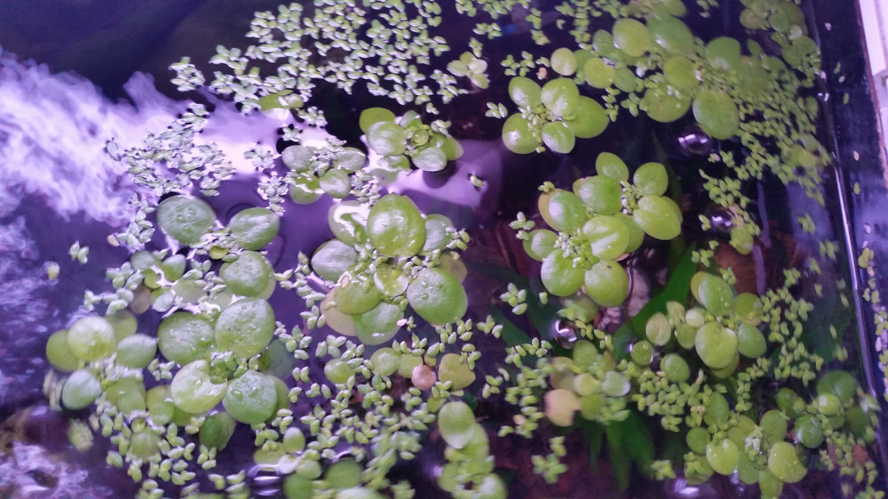 1676466122603818733822