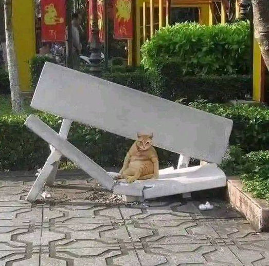 [Linked Image]