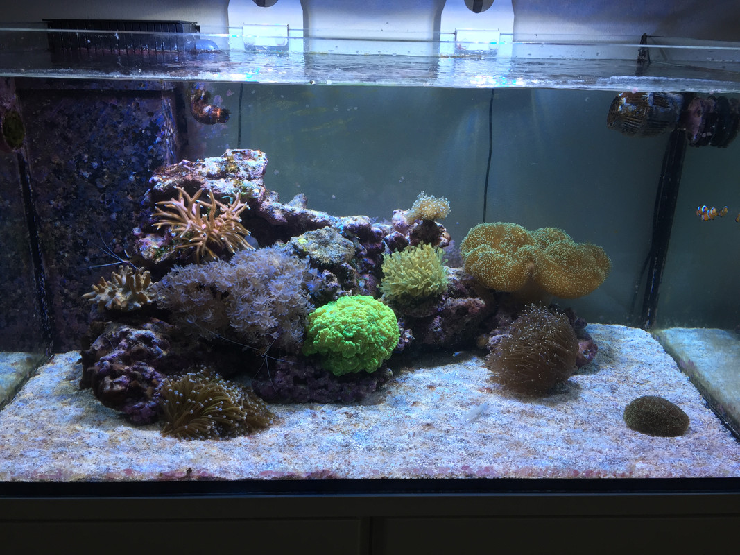 CFF46C7E-247F-414D-83AB-2E32CE508EB5