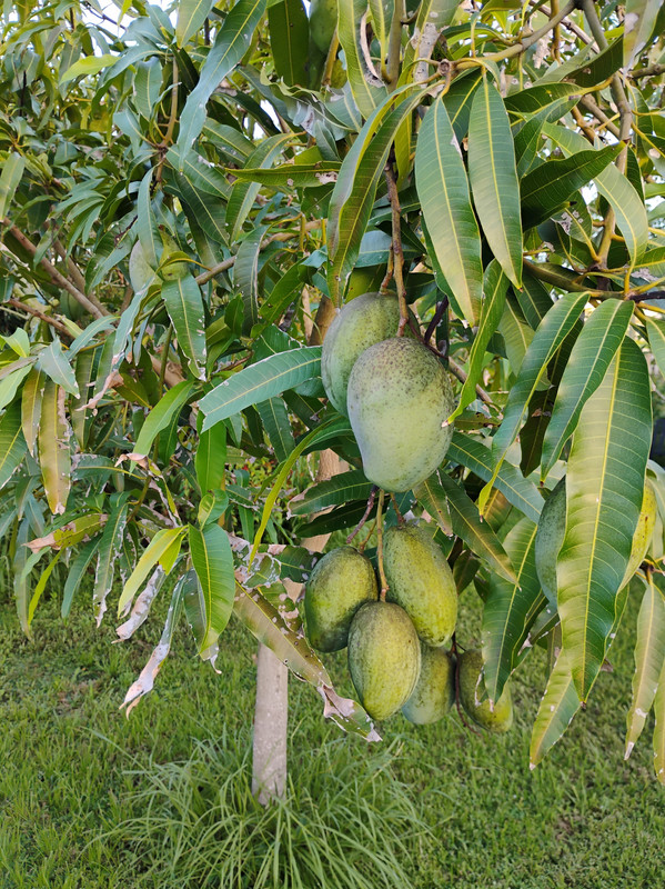 IMG_20250726_195746346~3