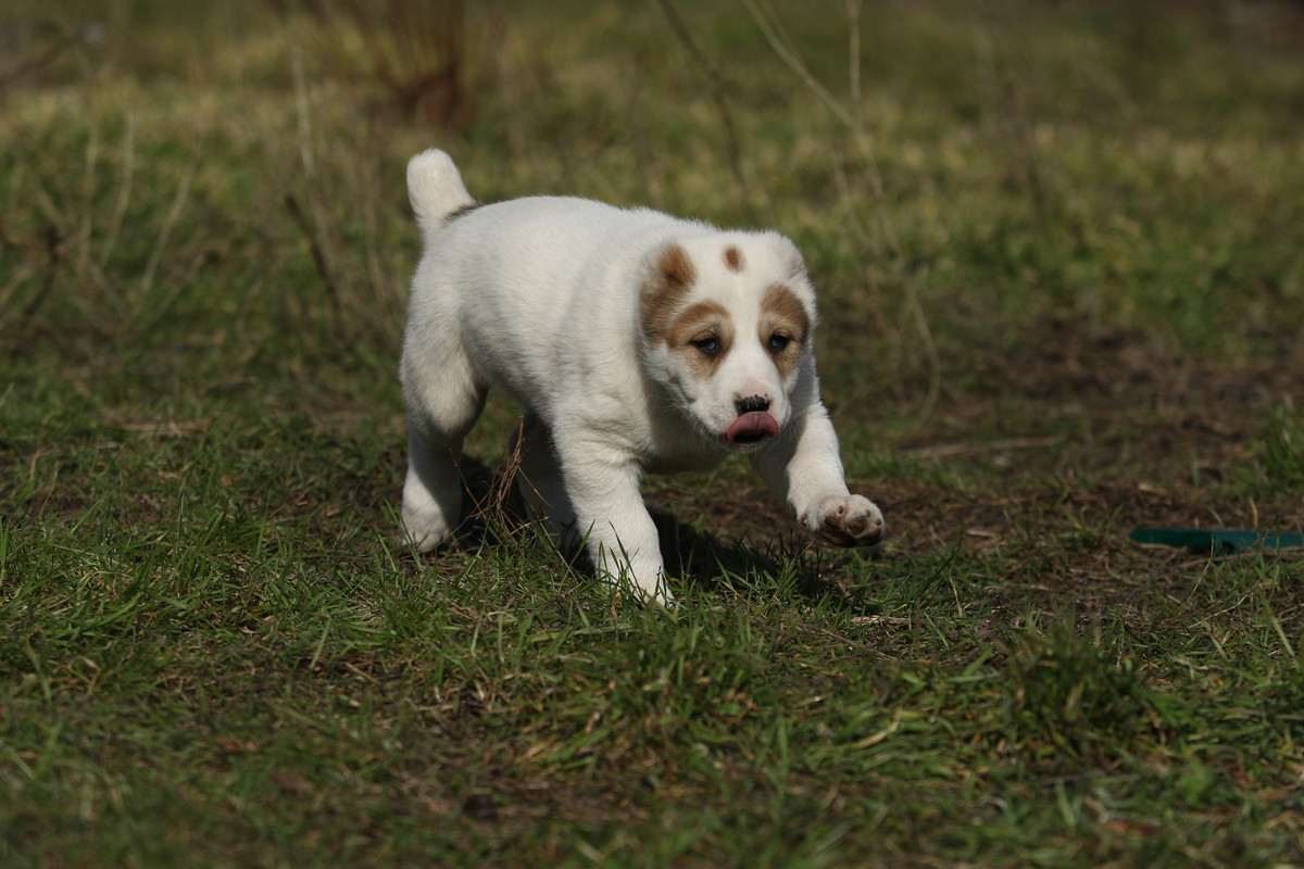 104BB675-4C31-4D93-889A-59A2E6128FE5