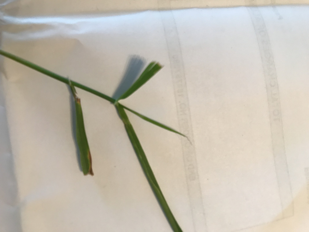 38B0C503-C462-45E4-B7DE-D9DAF413D2EB