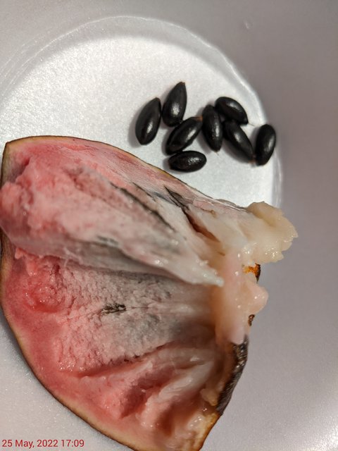 [Image: PXL-20220525-210907130-MP.jpg]