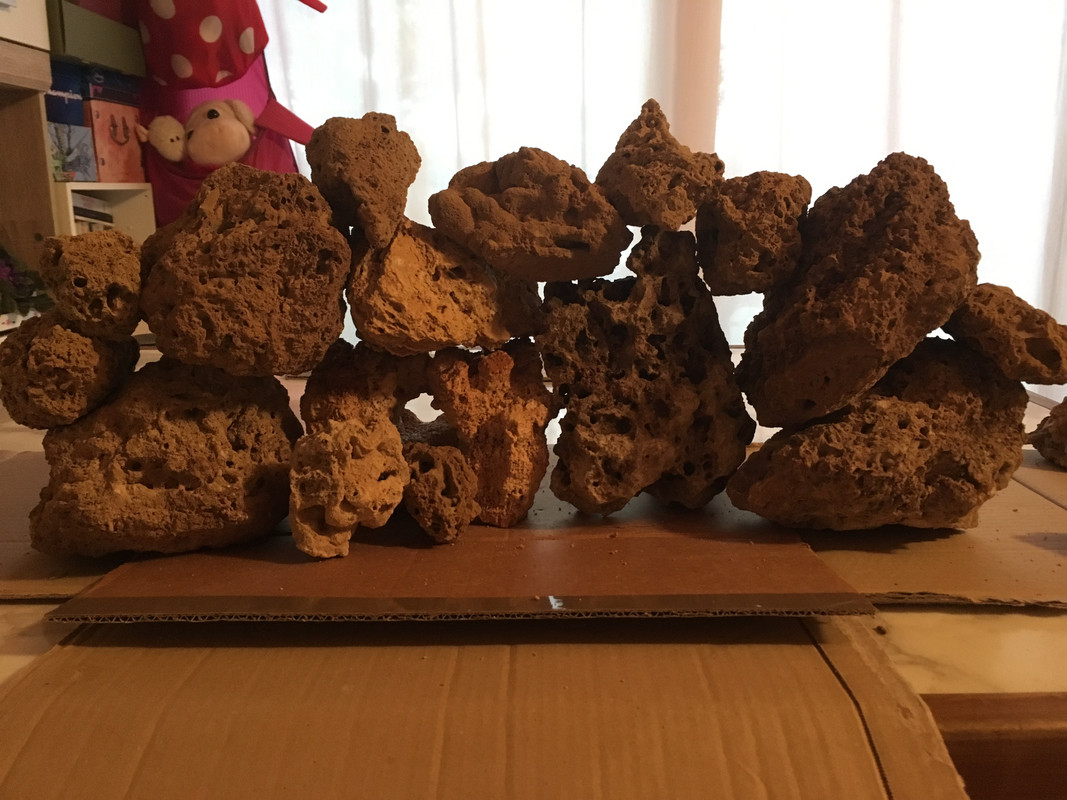 B05A9608-1E8A-4E5B-B445-E1BB2DD39288