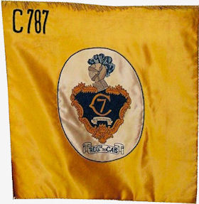 CCav787