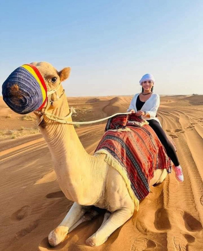 Desert