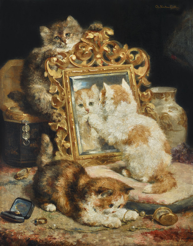 Van-den-Eycken-Chatons-au-miroir-et-bijoux-2