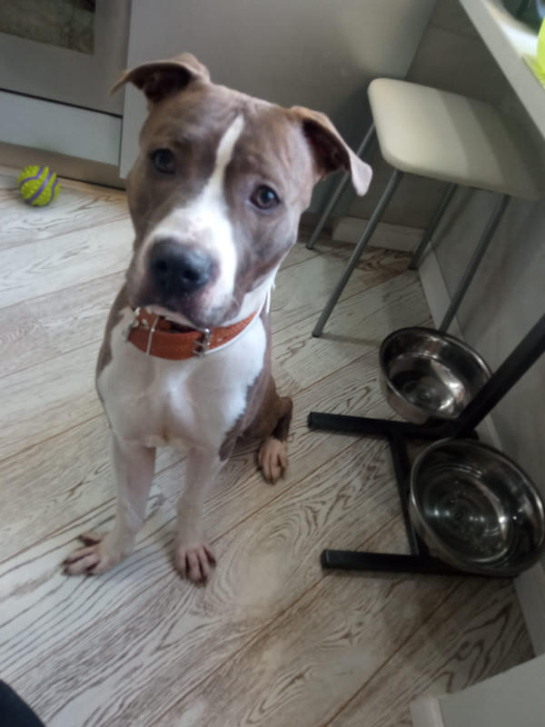 B30AF010-0F89-4C26-A37C-5136B24194DA