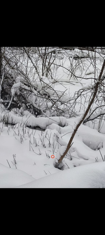 photo 2025 12 08 04 21 19